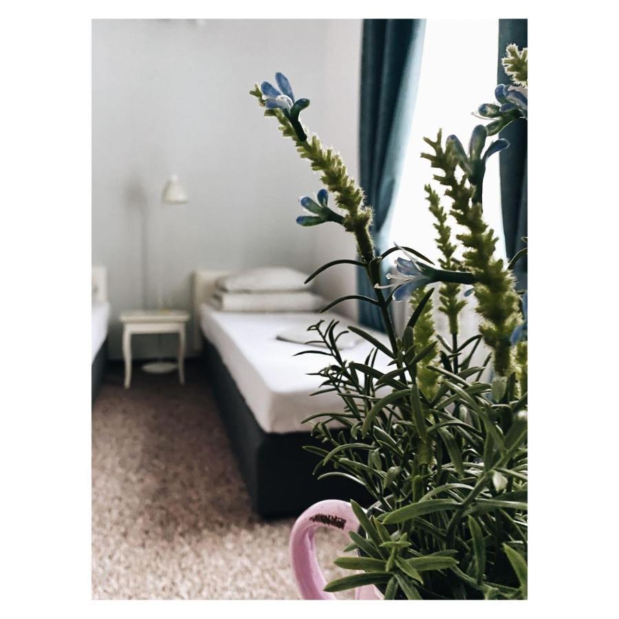 Pastel Guest Rooms وارسو المظهر الخارجي الصورة